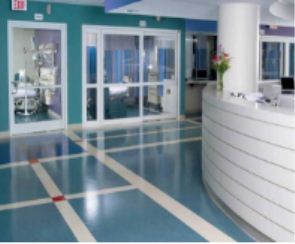 �h(hu��n)����ƺ���|(zh��)������Щ����Ӱ�